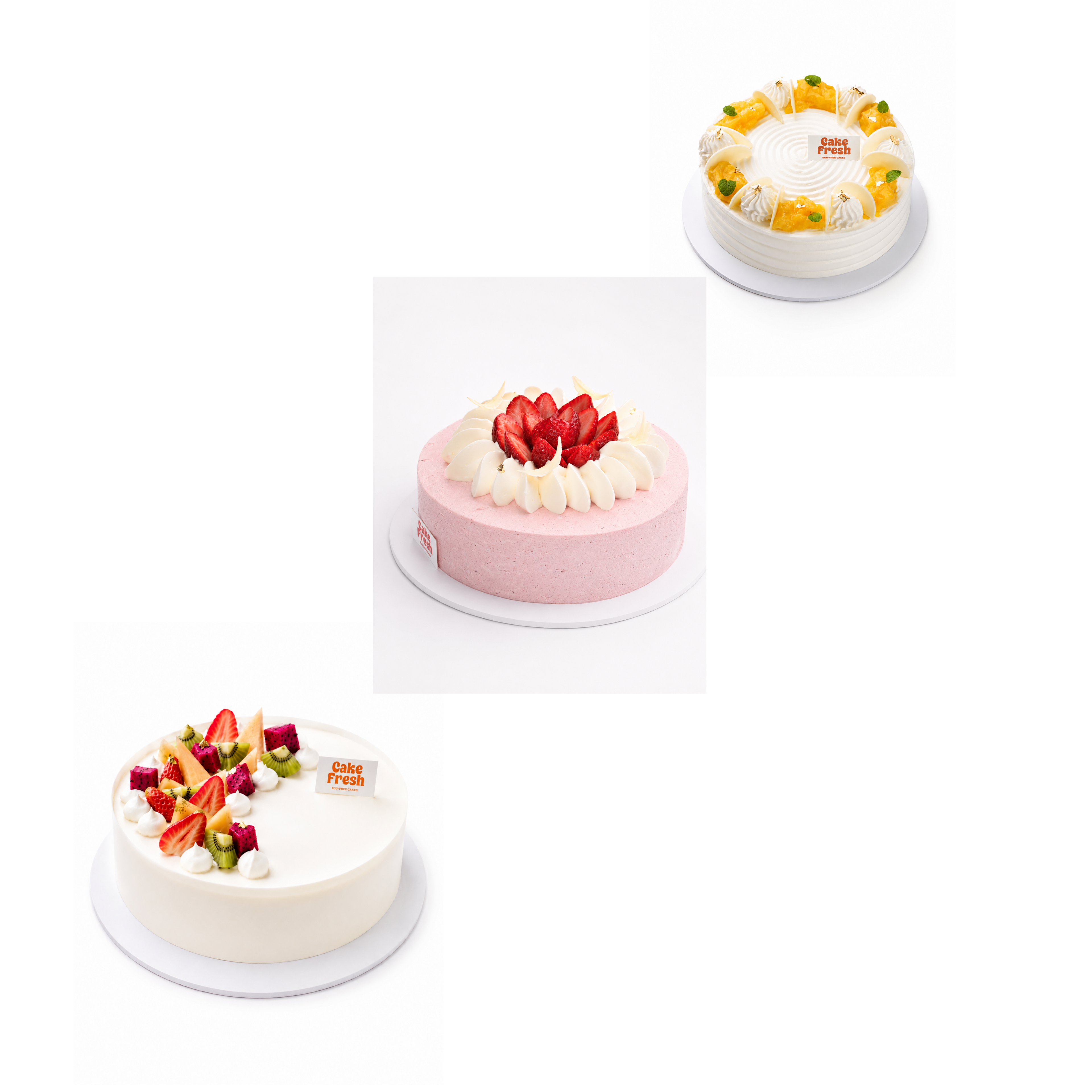 Fresh & Fruity